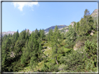 foto Forcella Magna